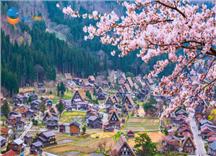[HCM] Tour Nhật Bản Thiết Kế 6N5Đ Mùa Hoa Anh Đào Shirakawago
